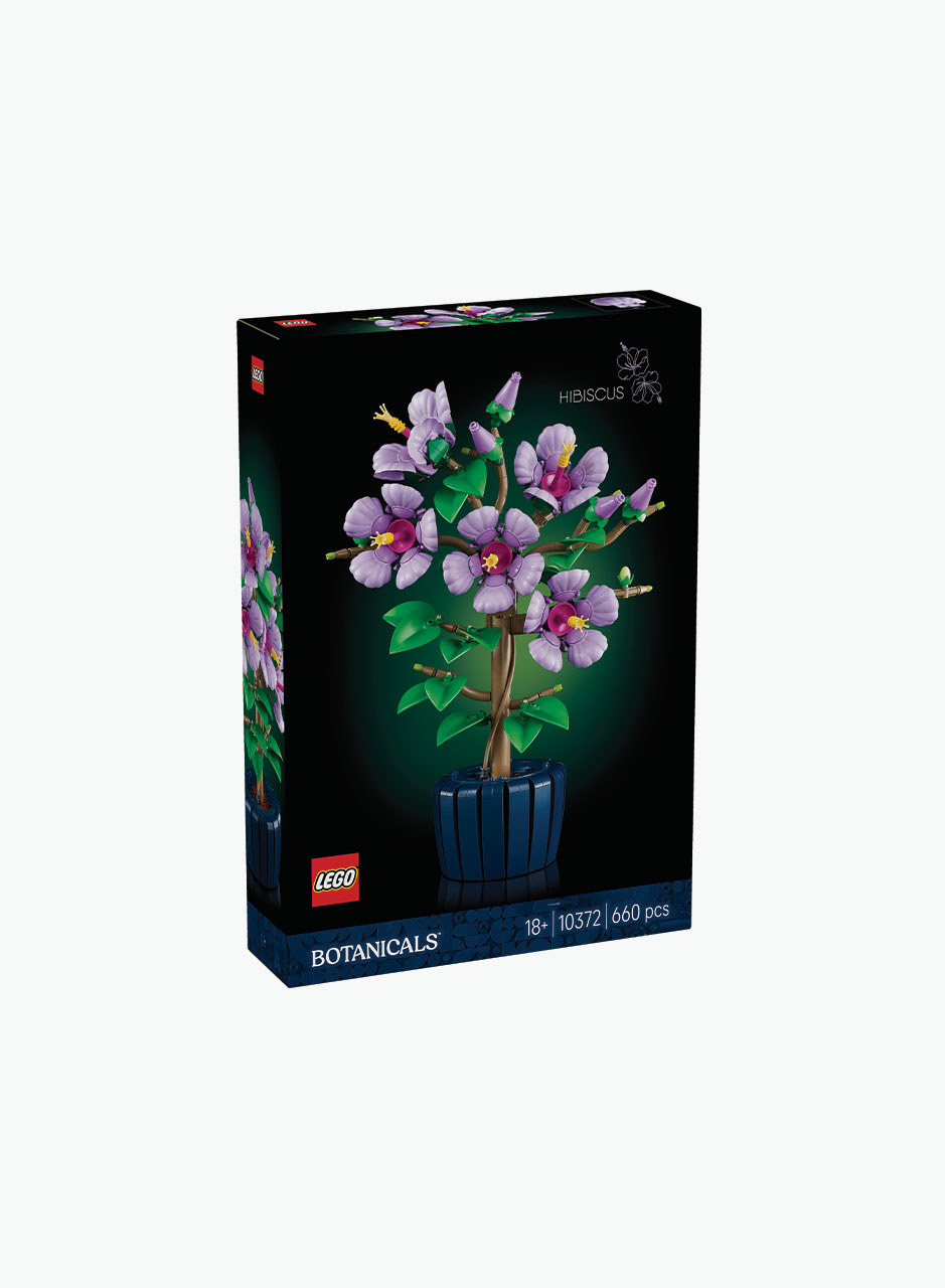 Constructor Botanical collection "Hibiscus"
