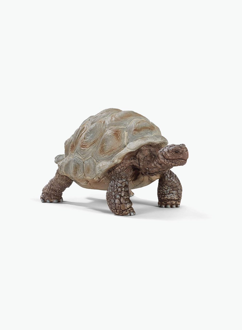 Animal figurine "Giant tortoise"