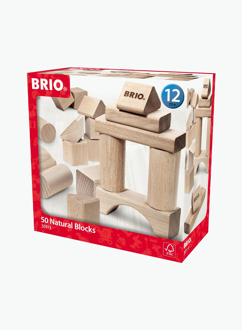 Wooden educational game BRIO 50 pcs.