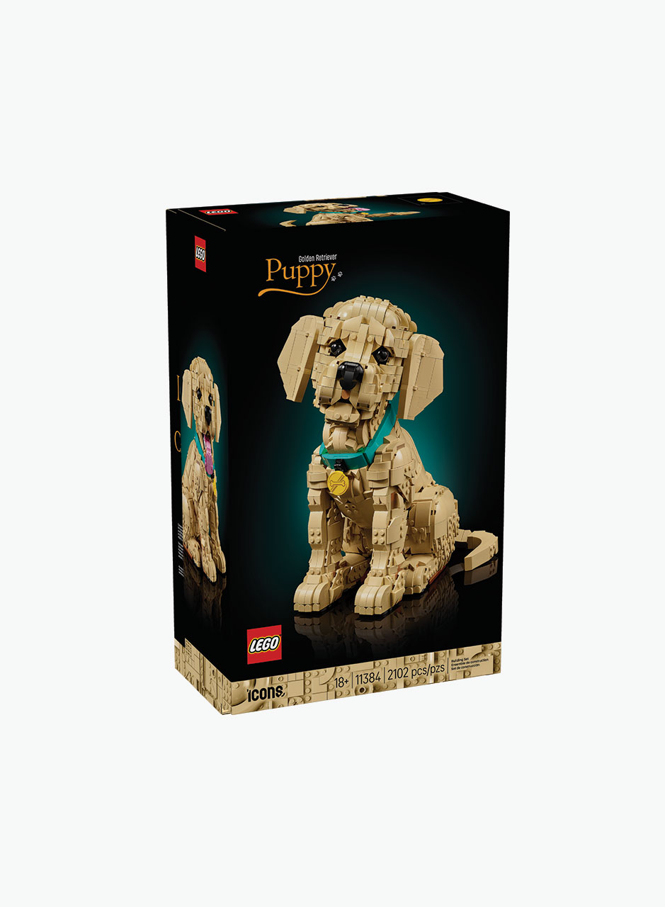 Կառուցողական խաղ Icons «Ոսկեգույն ռետրիվերի քոթոթ»