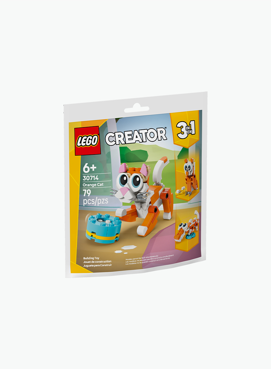 Կառուցողական խաղ Creator «Նարնջագույն կատու»