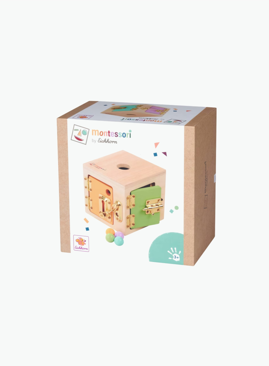 Educational toy "Montessori lock cube"