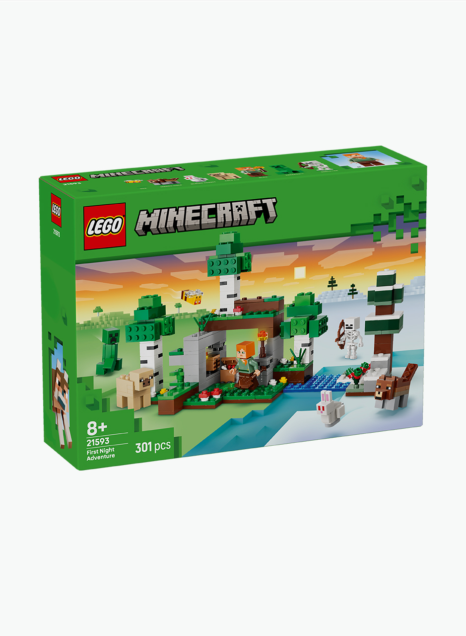 Կառուցողական խաղ Minecraft «Առաջին գիշերային արկած»