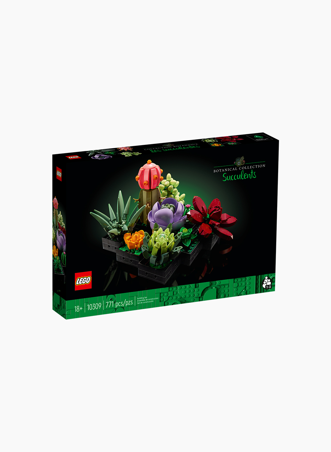 Կառուցողական խաղ BOTANICAL COLLECTION «Սուկուլենտներ»