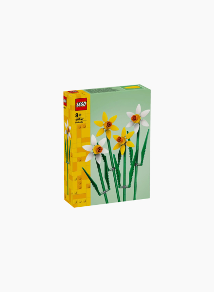 Constructor BOTANICAL COLLECTION "Daffodils"