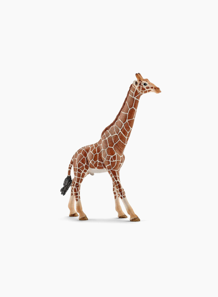 Animal figurine "Giraffe, male"