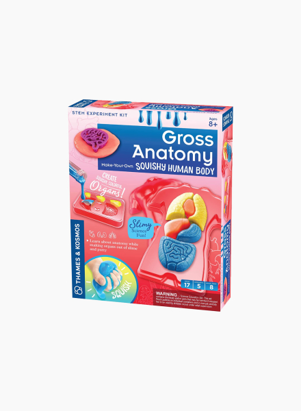 Educational game "Gross Anatomy"