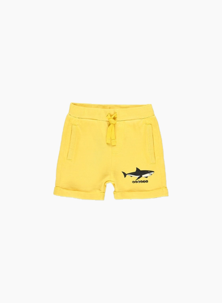 Knitted bermuda shorts "Shark"