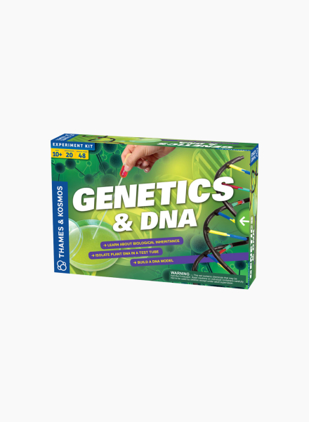 Ուսուցանող Խաղ «Գենետիկա և ԴՆԹ»