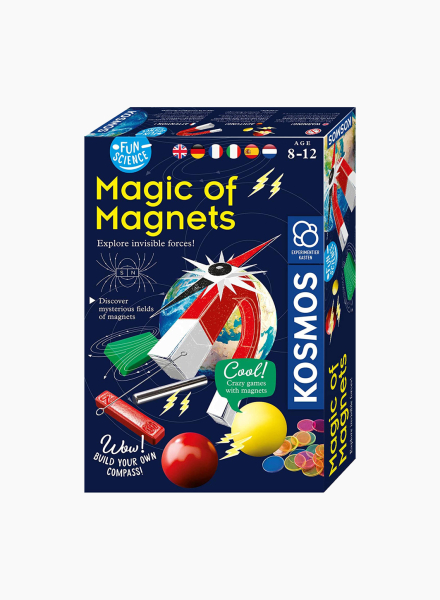 Educational game "Magic of magnets"