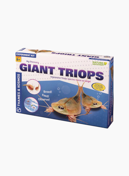 Educational game "My discovery giant triops"
