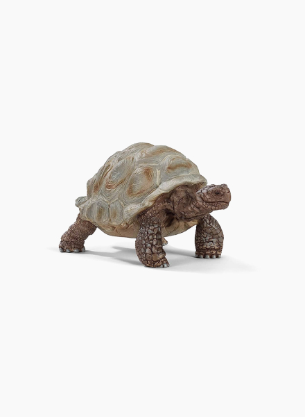 Animal figurine "Giant tortoise"