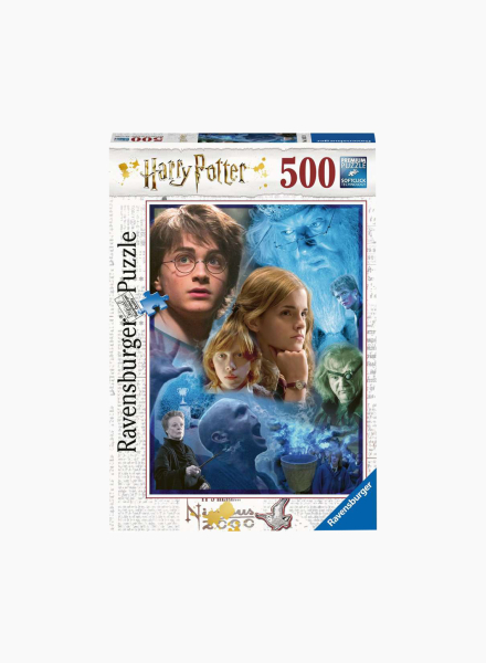 Puzzle "Harry Potter in Hogwarts" 500pcs.