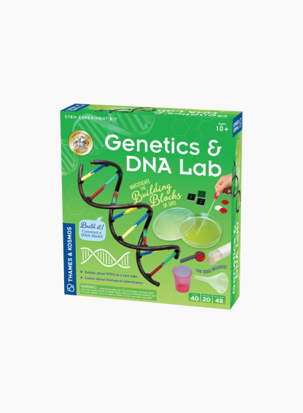 Ուսուցանող խաղ «Գենետիկա և ԴՆԹ»