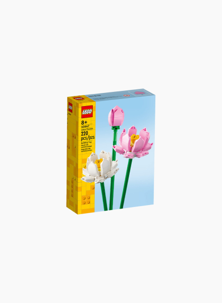 Կառուցողական խաղ Icons «Լոտոսի ծաղիկներ»