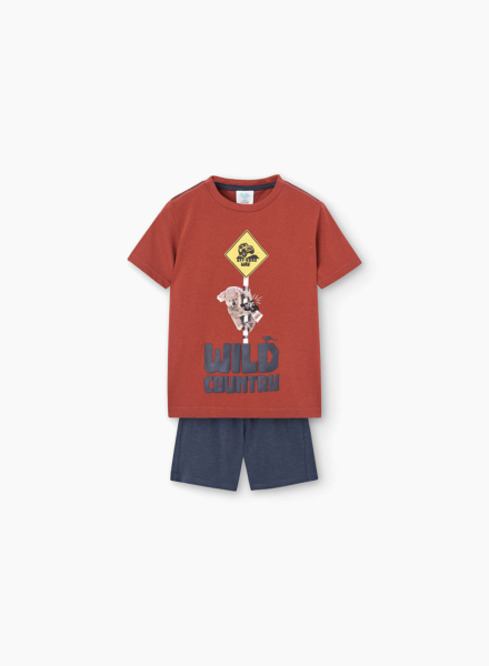 T-shirt and shorts set "Koala"