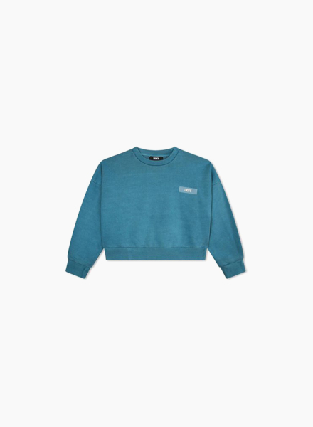 Cotton fleece sweatshirt