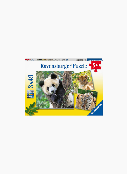 Puzzle "Panda, tiger and lion" 3X49pcs.