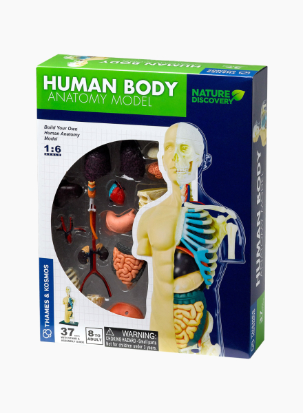 Educational game &quot;Human body anatomy&quot;
